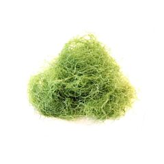  Visdraadwier 1 Kg