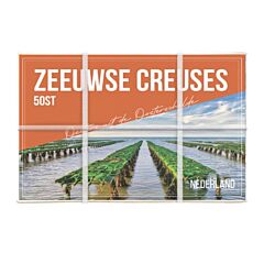  Oesters Creuses Zeeuwse Nr 2