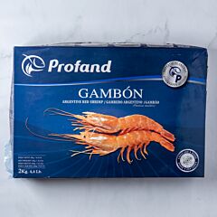  Gamba Argentina 10/20 Mk 2 Kg Diepvries