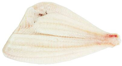  Scholfilet Zonder Vel Doos 5 Kg Diepvries