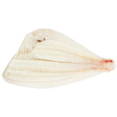  Scholfilet Zonder Vel Doos 5 Kg Diepvries