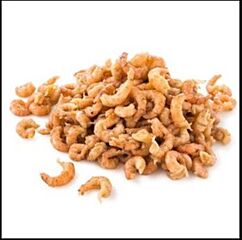  Garnalen Hollands 1 Kg Diepvries