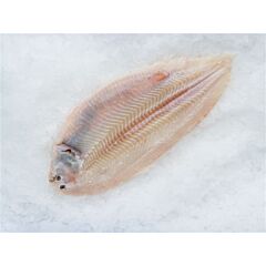  Tong Zonder Vel 330-380 Per Doos 5Kgdiepvries