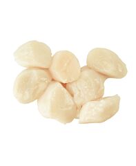 Coquilles