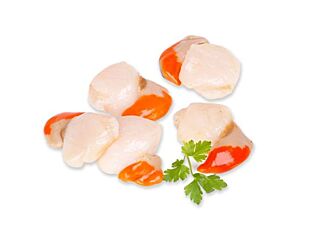  Coquilles Schots 10/20 Met Corail