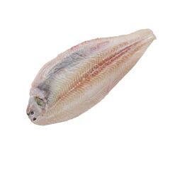 Tong 400-500 Zonder Vel Diepvries Ds 5 Kg