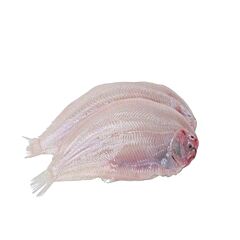 Tong Znd Vel 500-600 Iqf Diepvries Ds 10 Kg