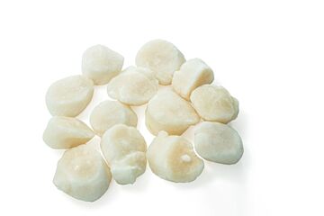 Coquilles 10/20 1 Kg Diepvries