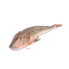  Poon 1 Heel Gestript Met Kop Ca 600 Gram