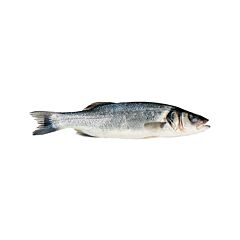 Zeebaars 400-600 Geschubd Ca 450 Gram