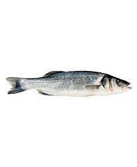  Zeebaars 400-600 Geschubd Ca 450 Gram