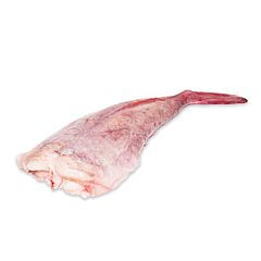 Zeeduivel 300-500 Gr Zonder Kop