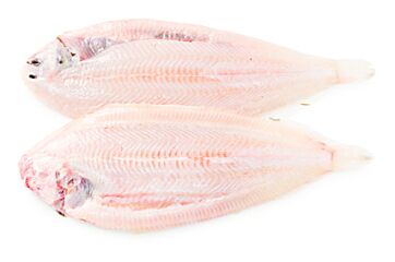 Tong 300-400 Gram Zonder Vel