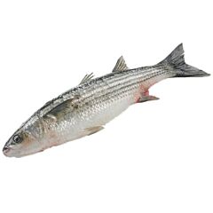  Harder 1-2 Gestript Geschubd 500-100Gr Per Stuk