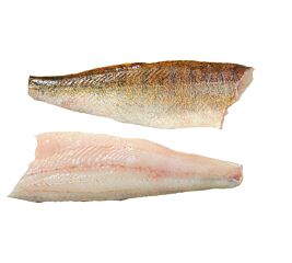  Snoekbaars Filet 500-1000 Wild Met Vel Ga