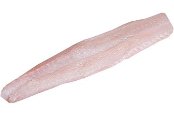  Leng Filet Met Vel Ca 1000 Gram