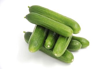 Komkommer Mini