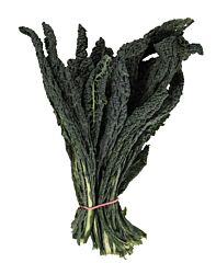 Palmkool Cavolo Nero