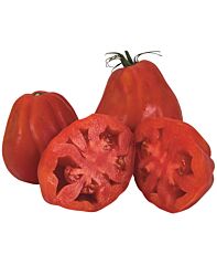 Tomaten Coeur Boeuf