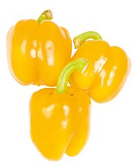 Paprika Geel