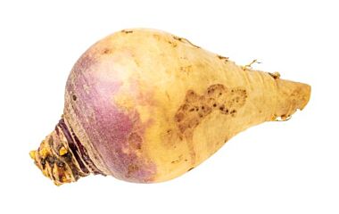 Koolraap Ca 1 Kg