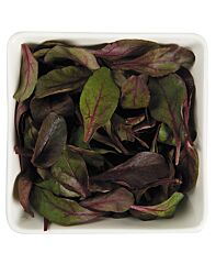 Bull  S Blood Baby Leaf