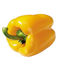 Paprika Geel