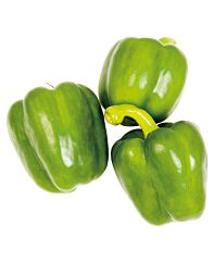 Paprika Groen