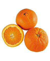 Handsinaasappel Per St