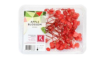 Koppert Cress Apple Blossom 2X100 St