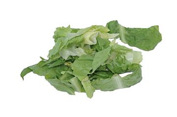 Romaine Sla Gesneden 25 Mm