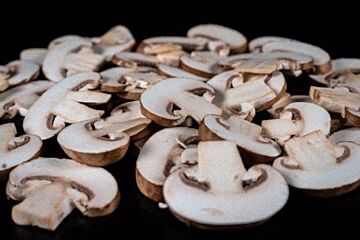 Kastanje Champignon Plak 3Mm