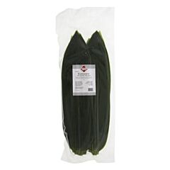 Dun Yong Kumazasa Bamboo Leaf 28-32Cm