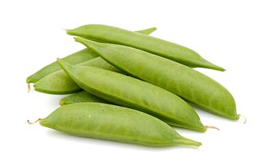  Sugarsnaps