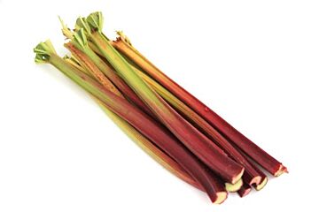  Rabarber
