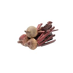  Biet Mini Chioggia