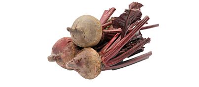  Biet Mini Chioggia