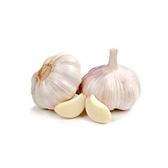Knoflook Vers