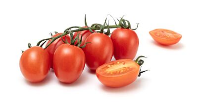  Tomaat Cherry Pruim