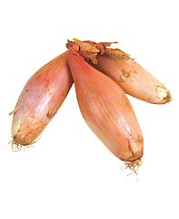  Sjalotten Banaan