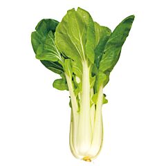  Paksoi