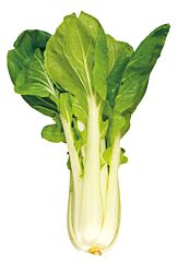  Paksoi