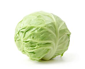  Witte Kool Ca 2500 Gr