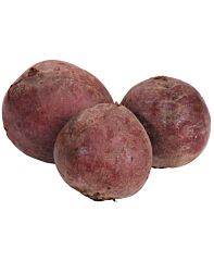  Bieten Rood