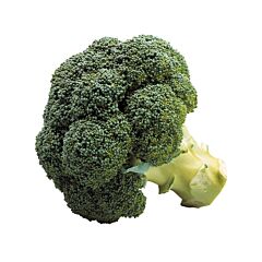  Broccoli