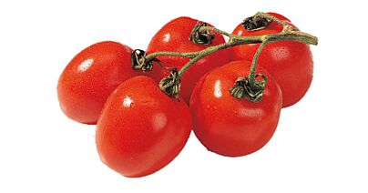  Tomaat Pomodori