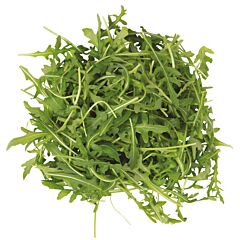  Rucola Sla