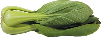  Paksoi Mini Shanghai