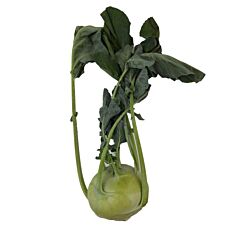  Koolrabi