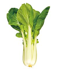  Paksoi